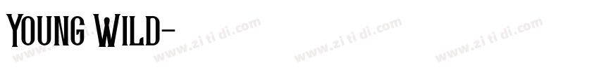 Young Wild字体转换
